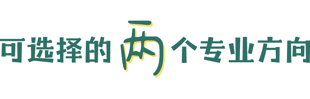 可选择的两个专业方向